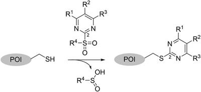 2-Sulfonylpyrimidines as Privileged Warheads for the Development of S. aureus Sortase A Inhibitors